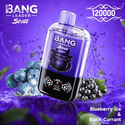 Bang Leader 120K o dwóch smakach | Magnetyczny przełącznik suwakowy | 120 000 zaciągnięć | Jednorazowy waporyzator Fresh Swap Technology - Blue Razz & Love 66