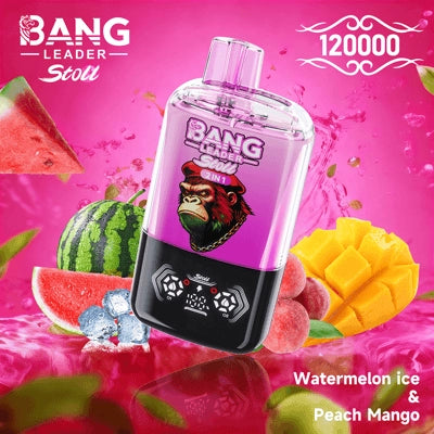 Bang Leader 120K o dwóch smakach | Magnetyczny przełącznik suwakowy | 120 000 zaciągnięć | Jednorazowy waporyzator Fresh Swap Technology - Blue Razz & Love 66