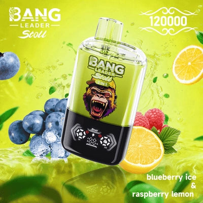 Bang Leader 120K o dwóch smakach | Magnetyczny przełącznik suwakowy | 120 000 zaciągnięć | Jednorazowy waporyzator Fresh Swap Technology - Blue Razz & Love 66